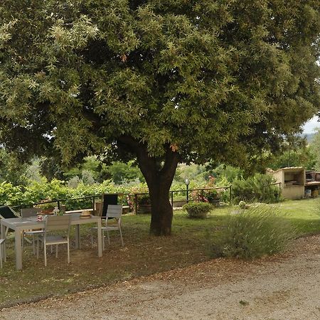 Agriturismo Renai E Monte II 감바시 외부 사진