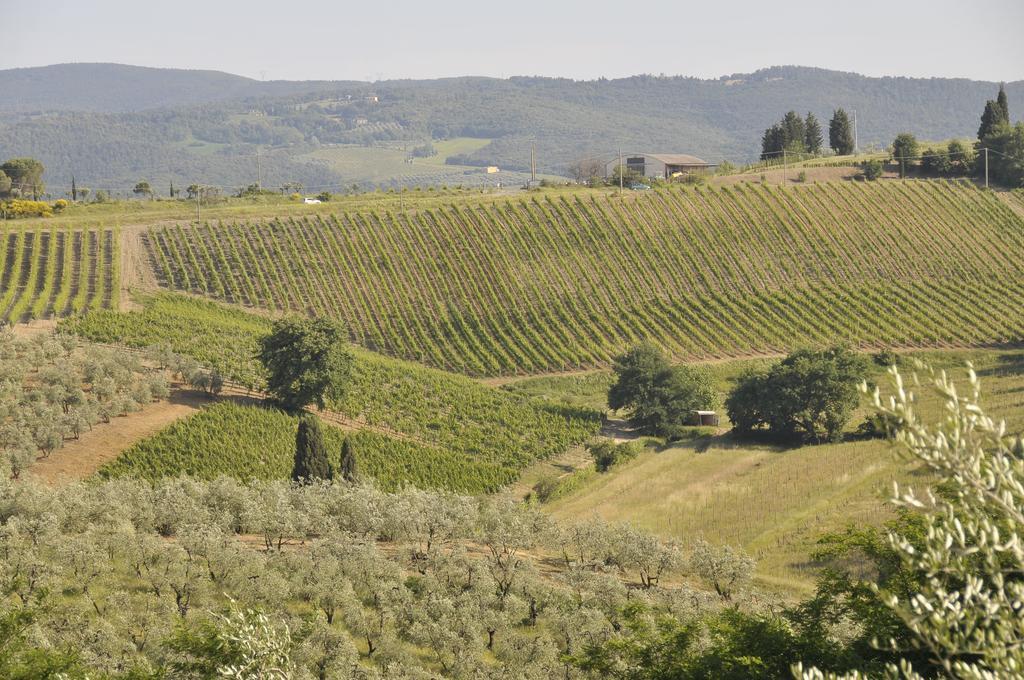 Agriturismo Renai E Monte II 감바시 외부 사진